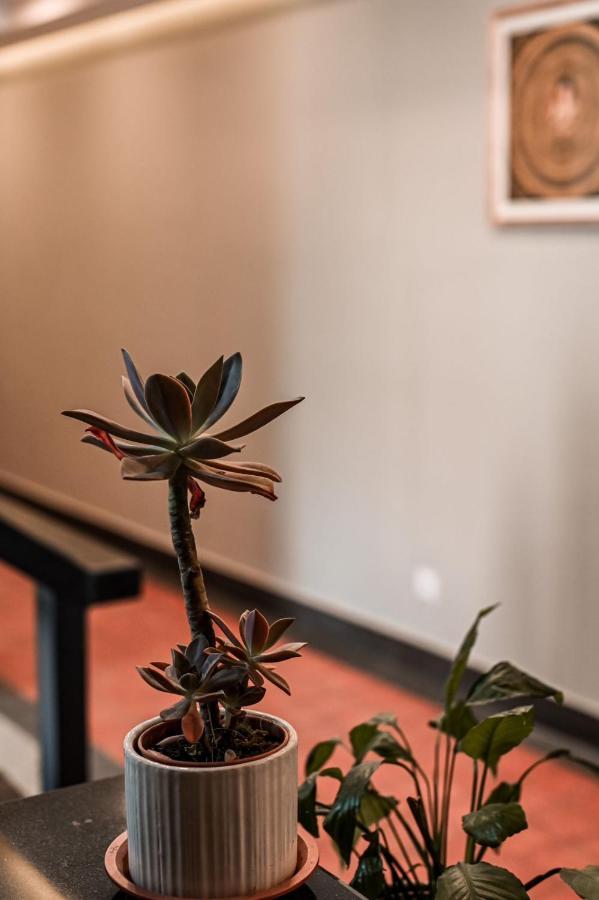 Pancha Buddha Service Apartments And Rooms 카트만두 외부 사진